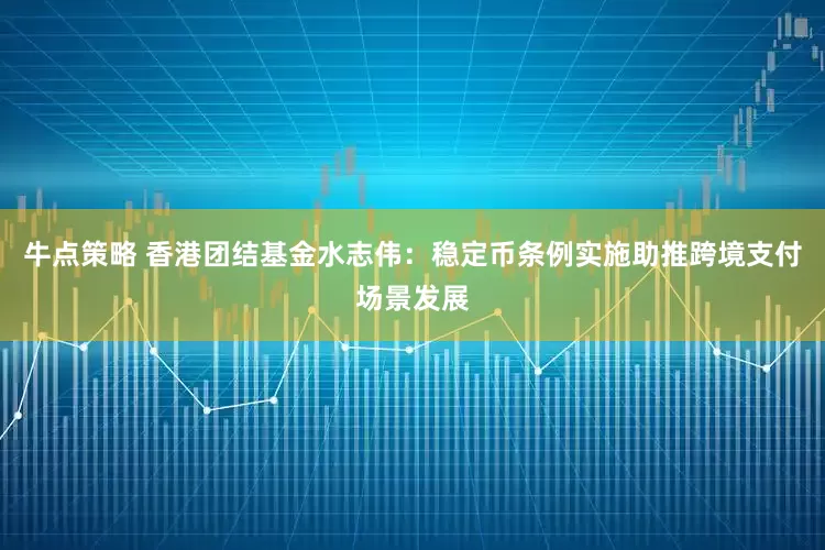 牛点策略 香港团结基金水志伟：稳定币条例实施助推跨境支付场景发展