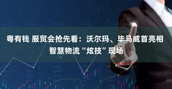 粤有钱 服贸会抢先看：沃尔玛、毕马威首亮相 智慧物流“炫技”现场