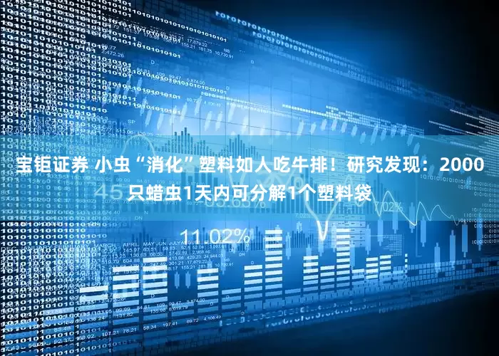 宝钜证券 小虫“消化”塑料如人吃牛排！研究发现：2000只蜡虫1天内可分解1个塑料袋