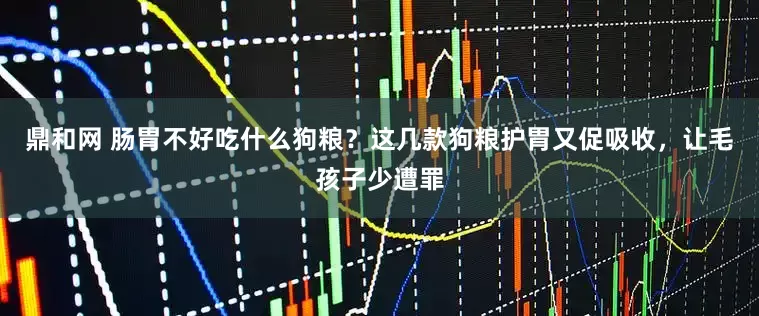 鼎和网 肠胃不好吃什么狗粮？这几款狗粮护胃又促吸收，让毛孩子少遭罪
