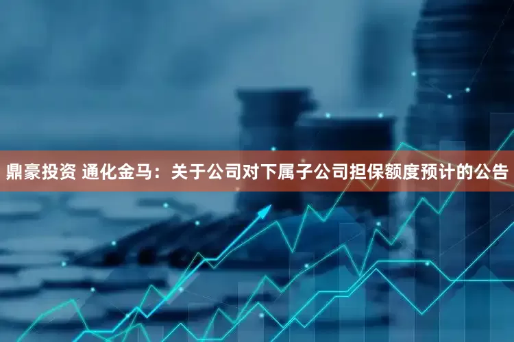 鼎豪投资 通化金马：关于公司对下属子公司担保额度预计的公告